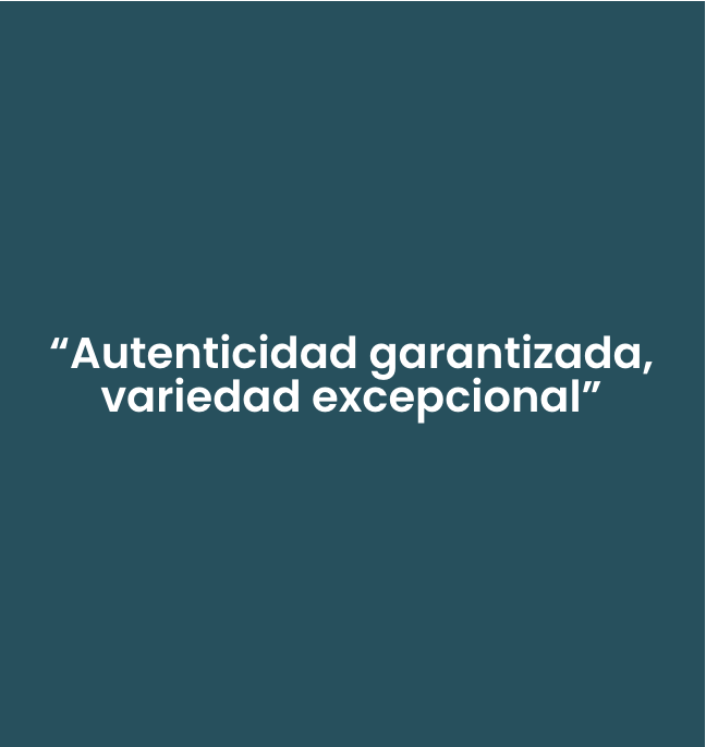 Captura de pantalla 2026-01-23 a la(s) 16.38.24